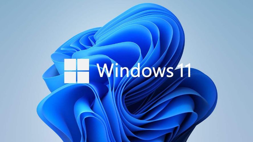 为什么不推荐更新Windows11