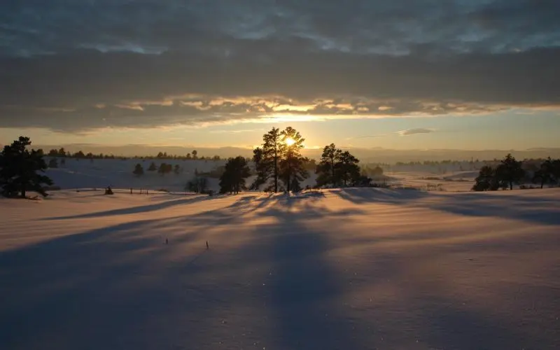 冬天的早上 Winter Morning