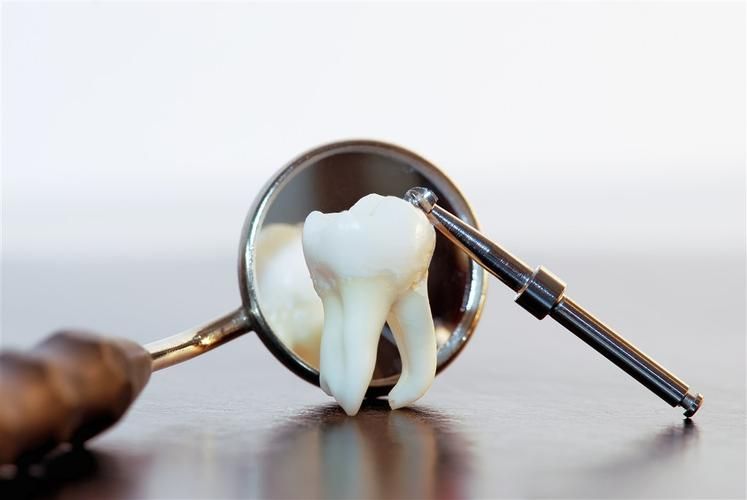 保护牙齿Protecting the Teeth