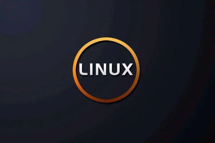 28条Linux常用命令