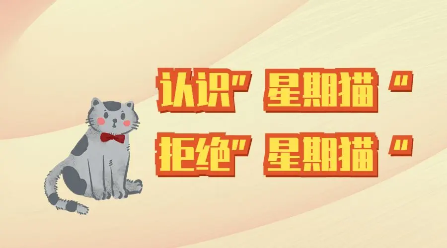 为什么星期猫在猫贩子手上好好的，到我们就...