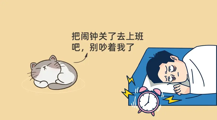 适合懒人养的猫咪