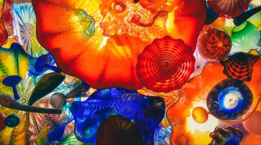 视觉艺术的表达  Expression in Visual Arts