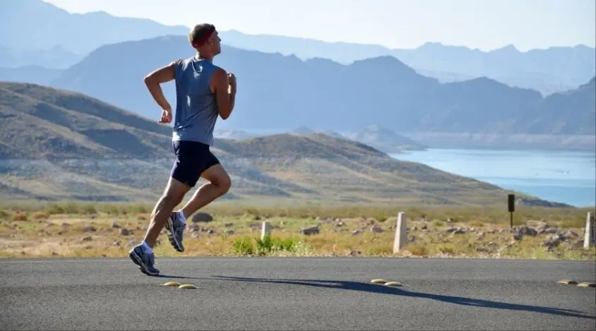 运动的重要性 The Importance of Physical Exercise