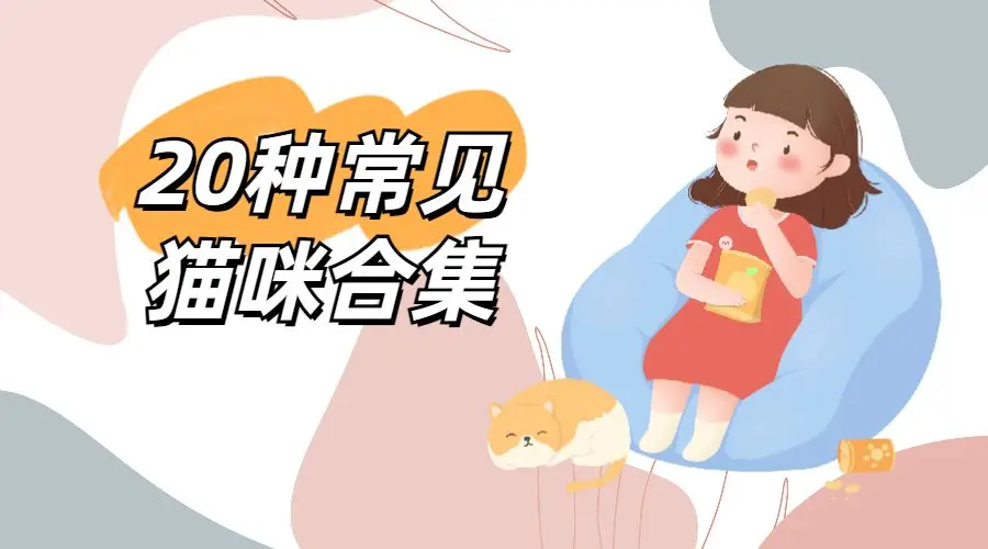 20种常见猫咪品种，你喜欢哪个？