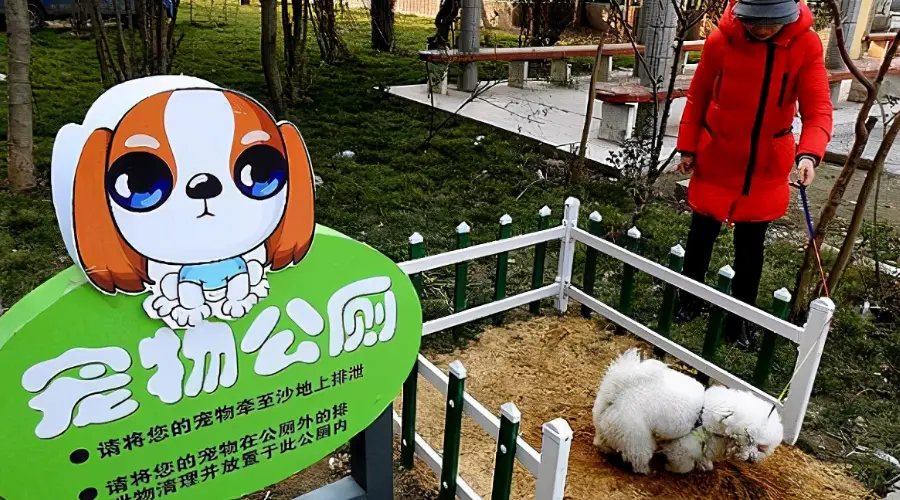 重庆渝北首创“宠物友好洗手间”，养犬市民争相打卡