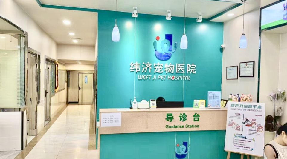 卓越團隊與尖端科技，引領寵物診療新紀元