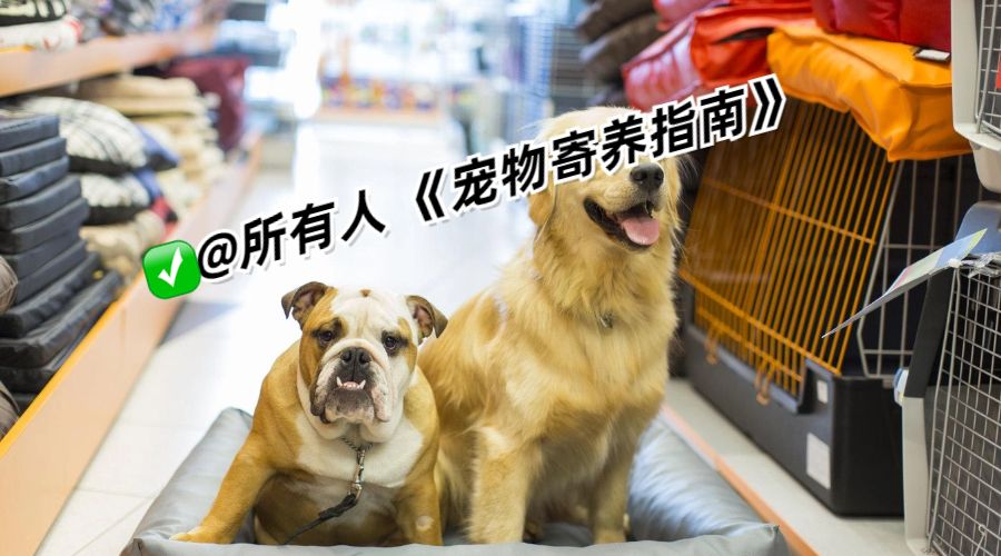 寵物寄養指南，相信總有一天你會用到的！