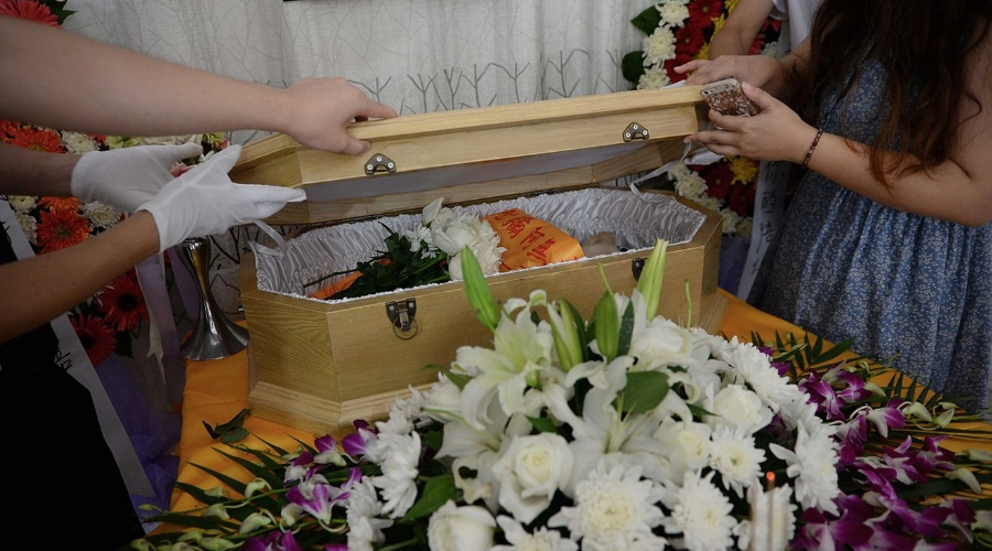 如何与宠物更好地告别？