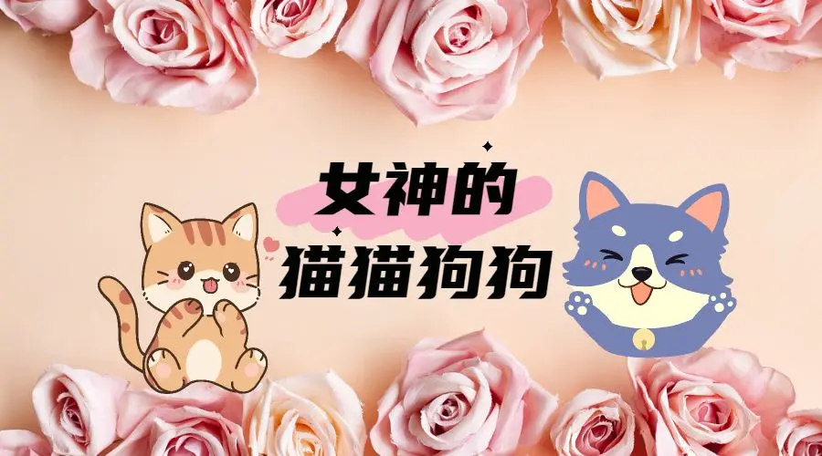 妇女节快乐！这些猫猫狗狗简直就是女生最爱~