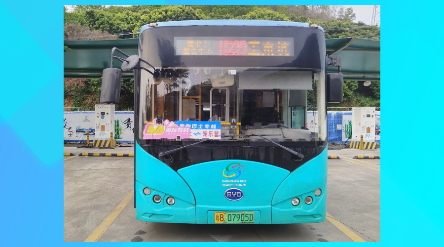 深圳首条宠物友好巴士试开通