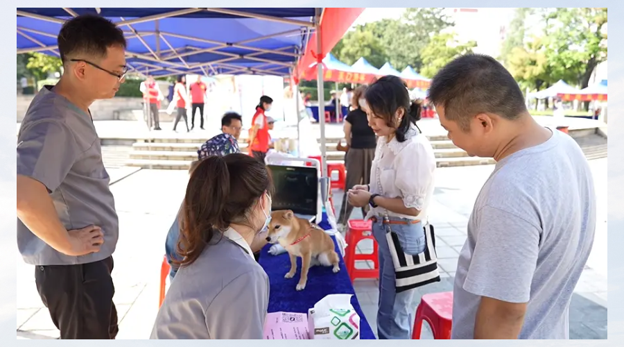 4月27日长沙生态动物园开展公益性宠物义诊活动
