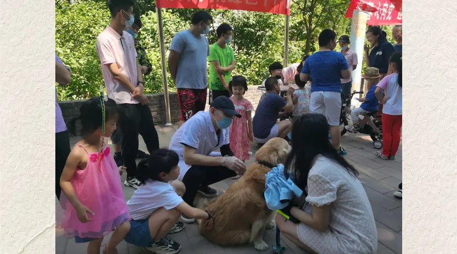 “宠”爱有方不掉“链”！哈尔滨市香坊区新成街道开展文明养犬宣传活动