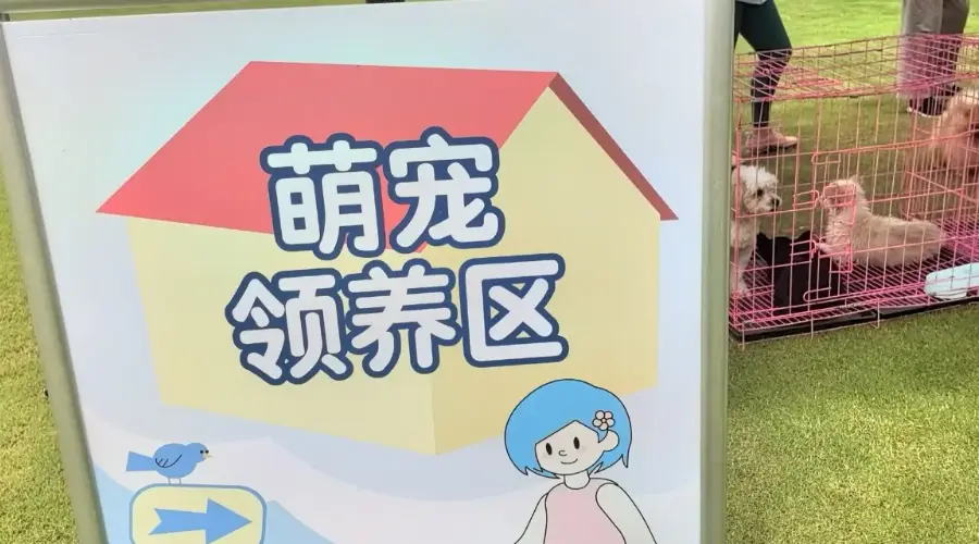 打造宠物友好新地标!深圳“罗湖区宠物友好空间活动周”启动