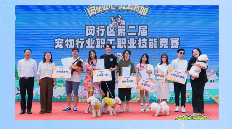 给狗狗搭配服饰，做造型……上海闵行为宠物行业举办技能竞赛