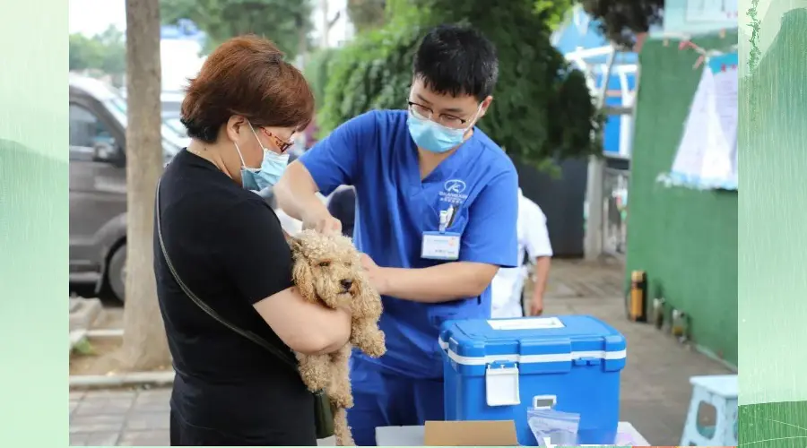 为居民撑起“健康伞”！苏州工业园区娄葑街道开展宠物疫苗接种工作