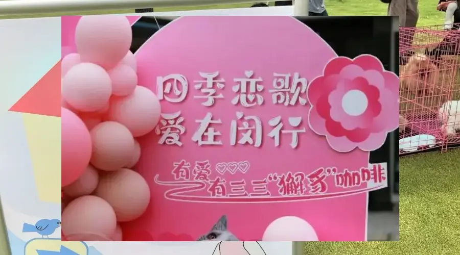 与宠物一起抽中恋爱“上上签”!“四季恋歌·爱在闵行”携宠交友引领沪上交友新风尚
