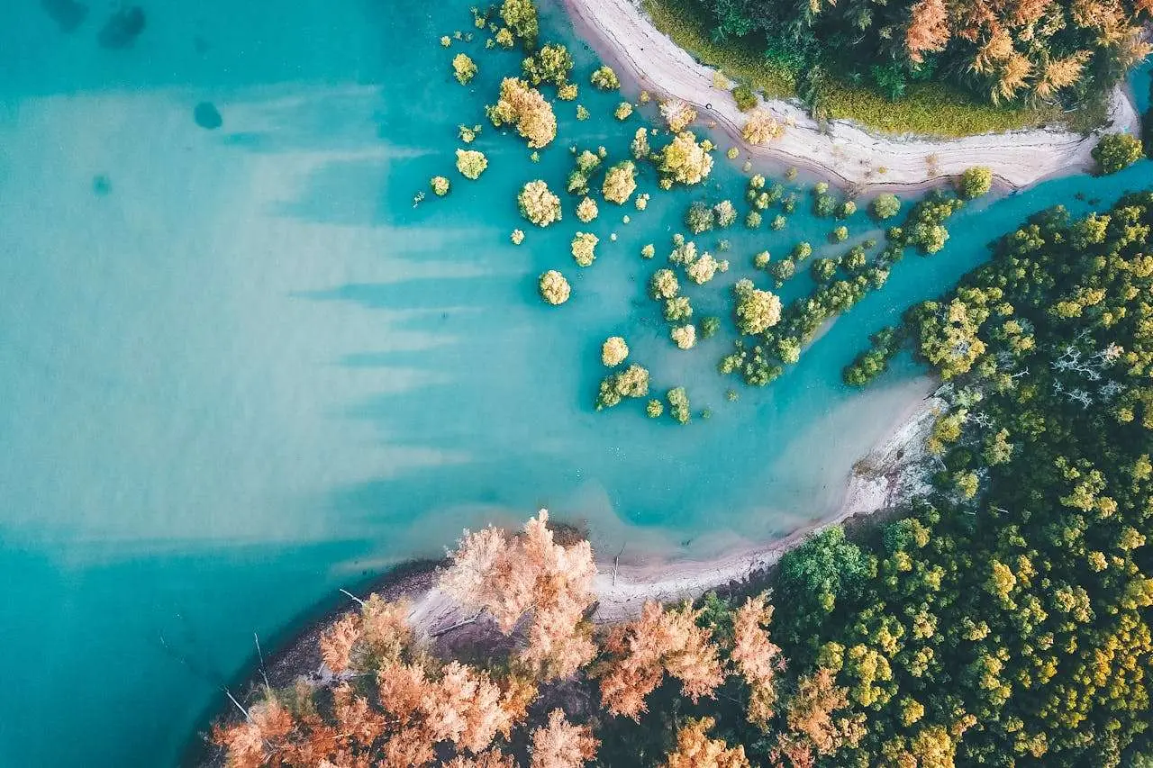 如何写好议论文？高中英语议论文范文5篇+结构拆解