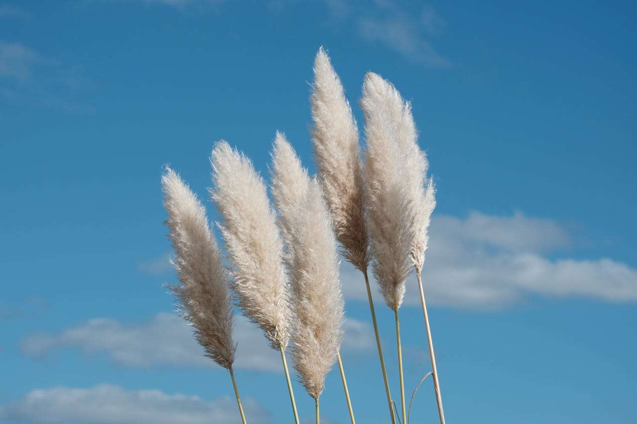 一次难忘的旅行 An Unforgettable Trip（初中英语作文）