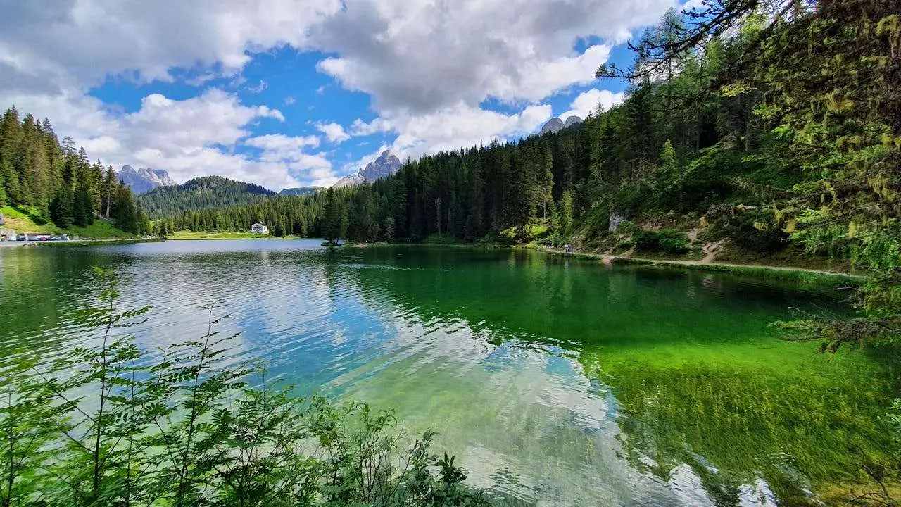 成长的故事：初中英语作文精选5篇+童年回忆与自我反思