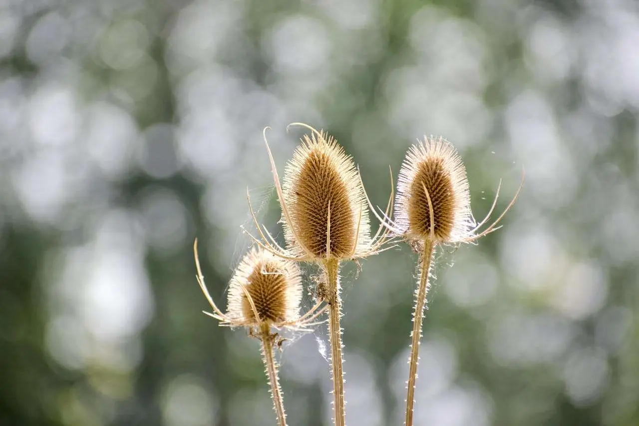 合作终止也体面：6个英文终止合作邮件模板得体告别客户