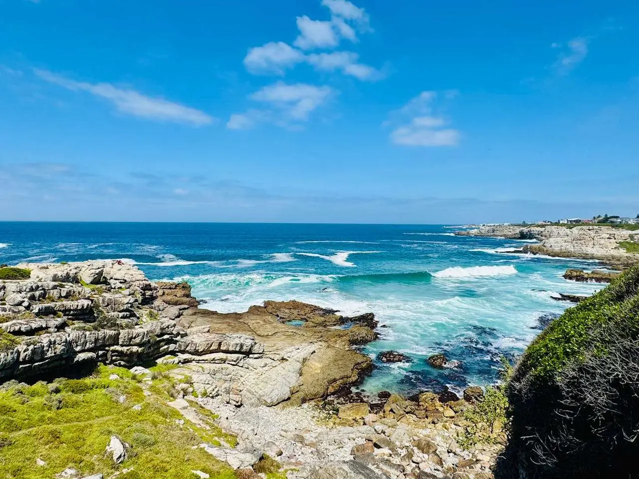 环境保护英语作文怎么写？5篇英语作文带你掌握高频表达