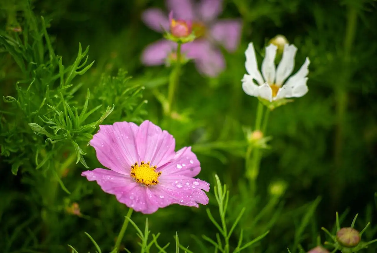初中英语作文范文10篇：涵盖常考话题，高分模板轻松学