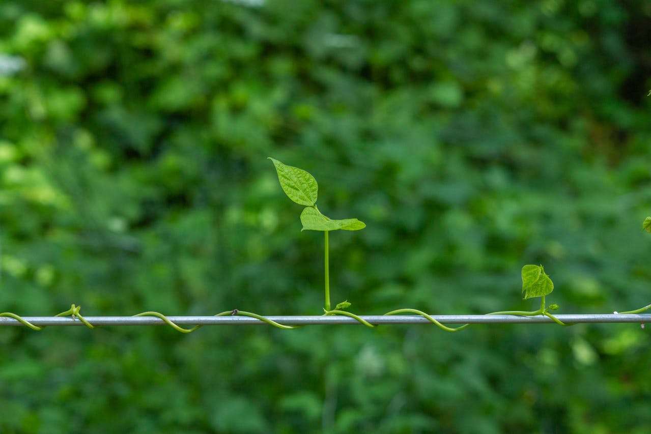 小學英語作文:我準備好了英語作文范文(小學六年級英語作文范文精選8篇)