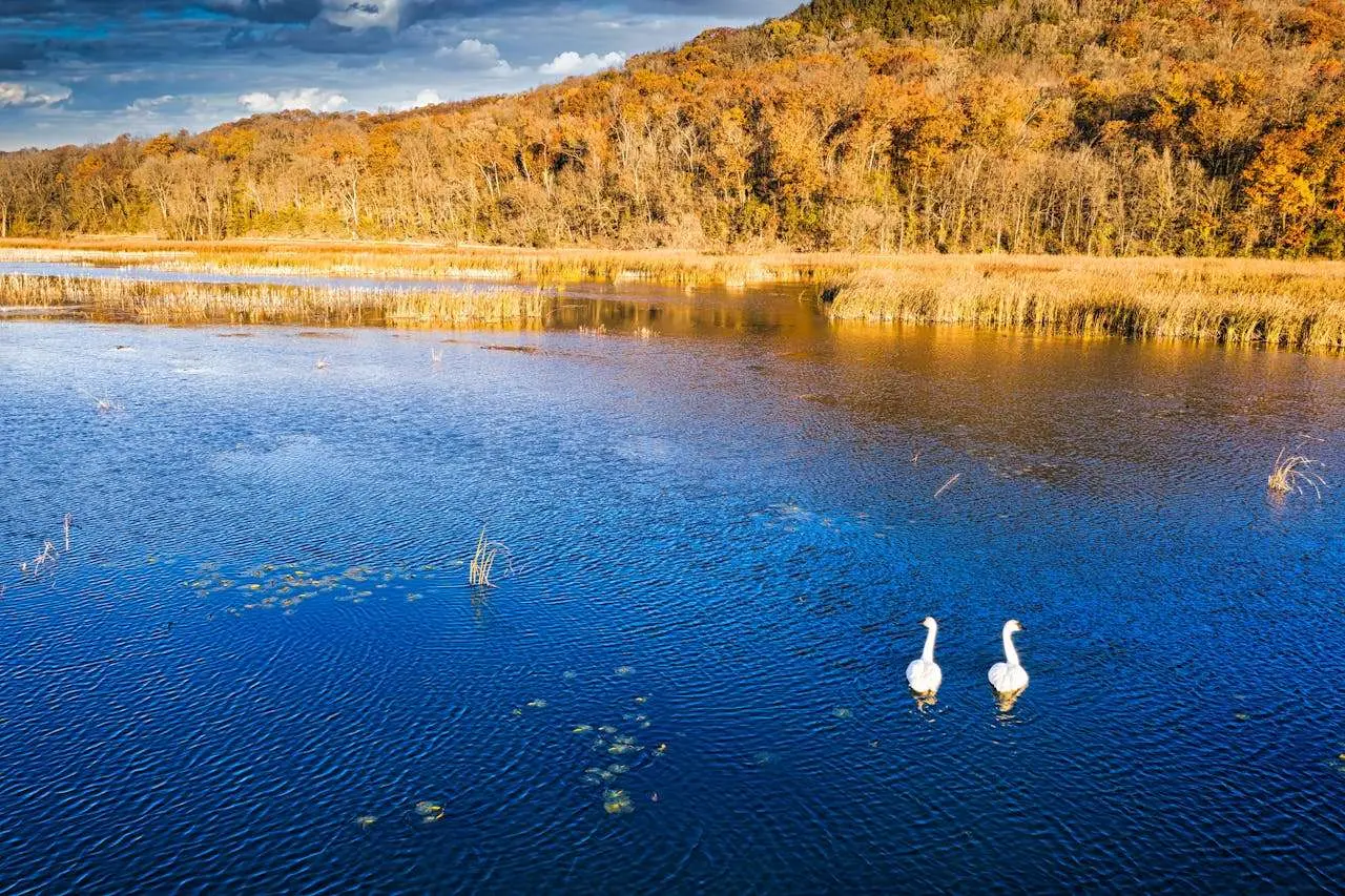 谈判加分项！9个英文价格谈判邮件模板，既专业又有说服力