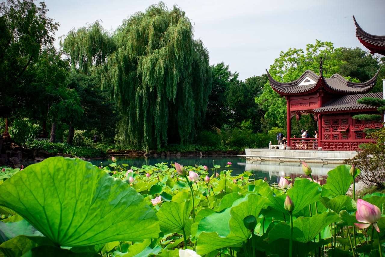 我的暑假计划：4篇初中英语作文+时间表达技巧