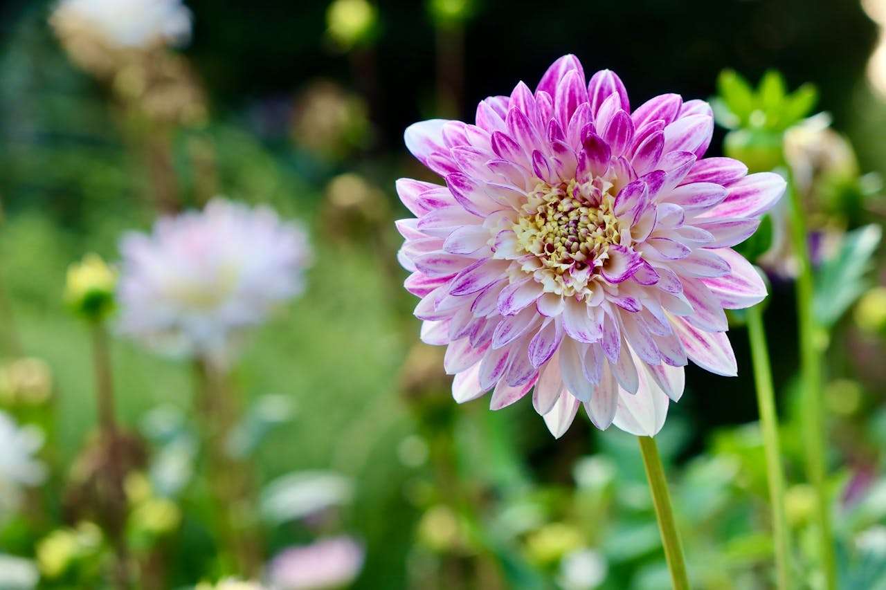 客戶投訴怎么辦？8個英文售后溝通郵件模板教你專業應對