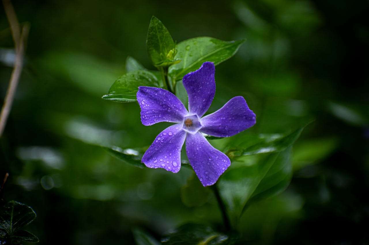 科技对生活的影响：初中英语议论文4篇+写作思路解析