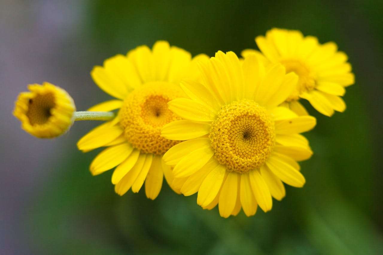 小学生英语日记8篇：我的一天，每天一句话，写作进步看得见