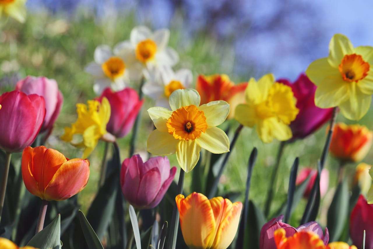 一次难忘的旅行：小学英语作文3篇（带翻译与结构分析）