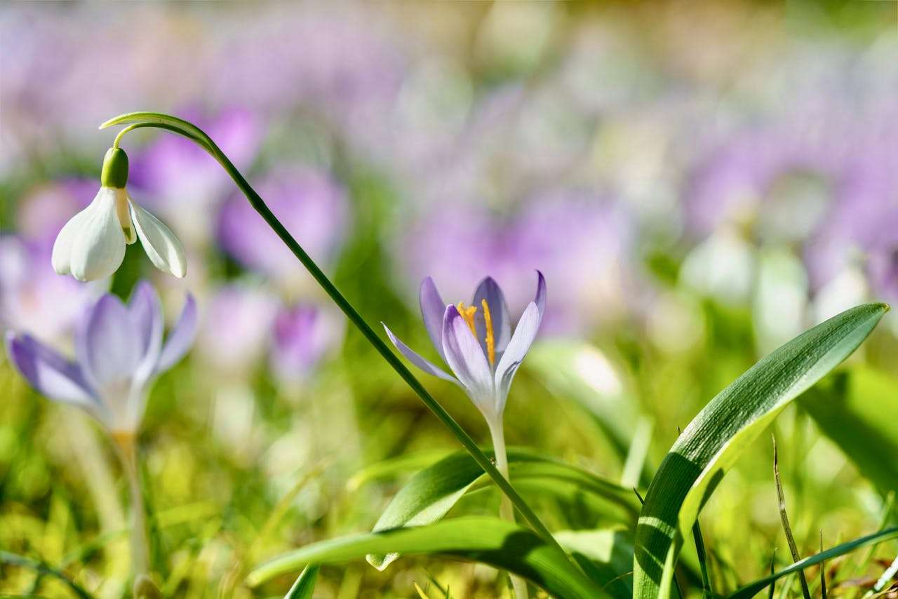 如何学好英语？5篇初中生学习方法英语作文