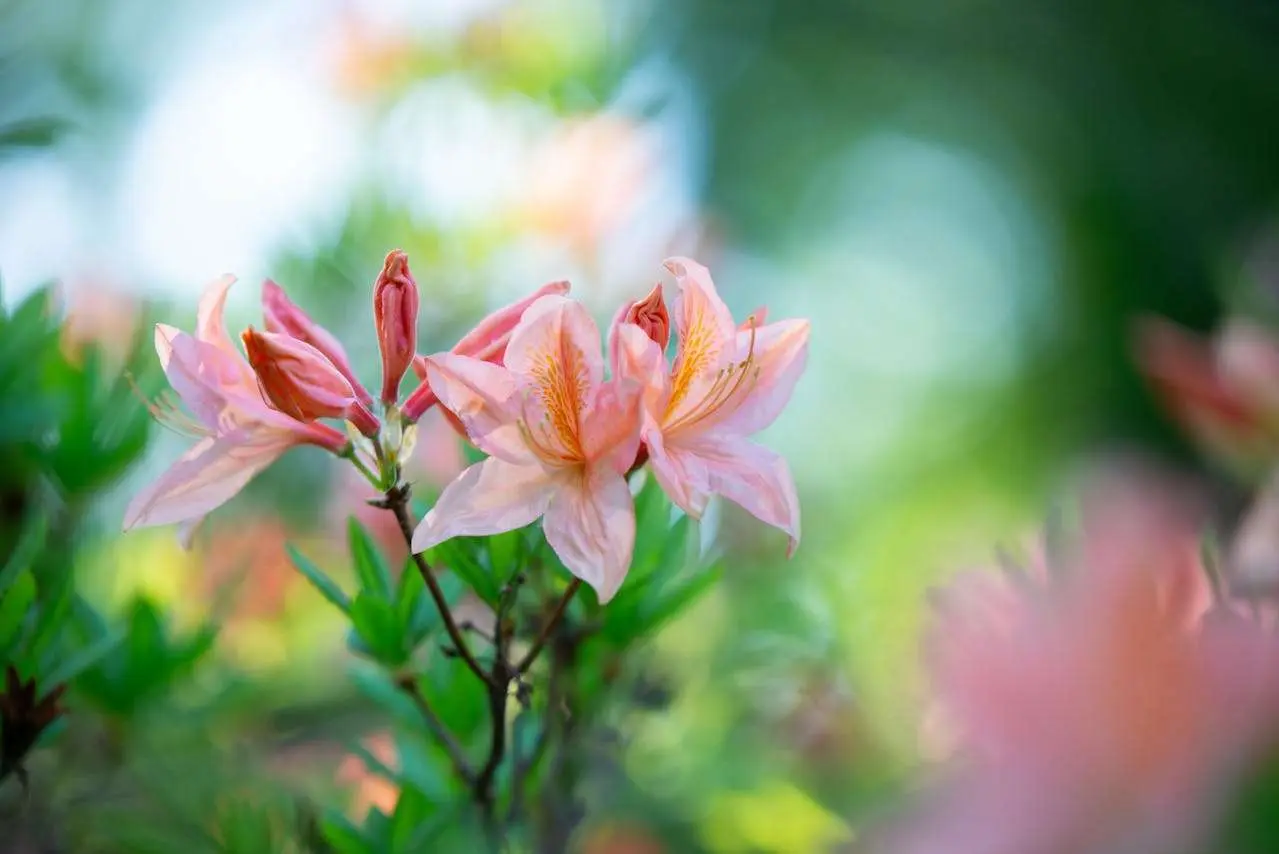 书信写作全攻略：“给未来自己的一封信”3篇感人英语作文