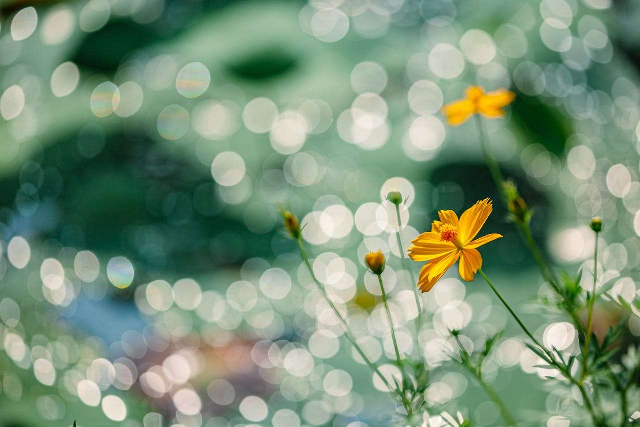 我的暑假计划：4篇初中英语作文+时间安排表达