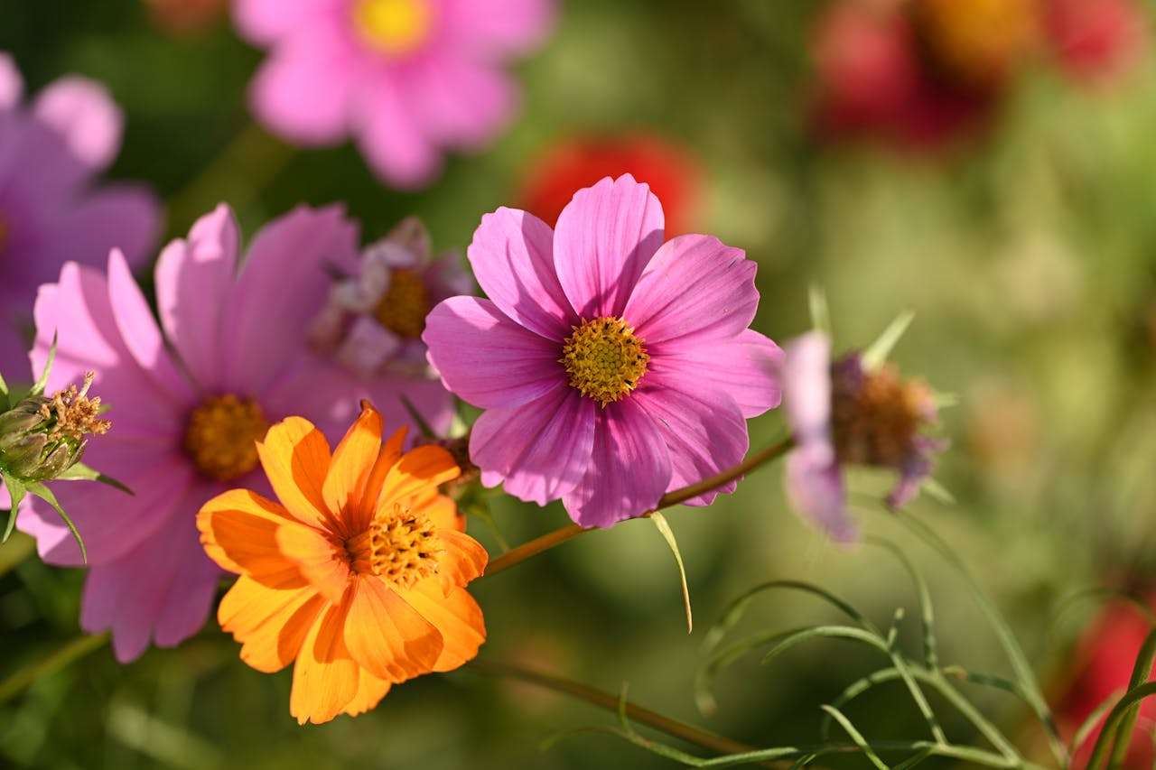 旅行话题不犯难！一次难忘的旅行：5篇小学英语作文