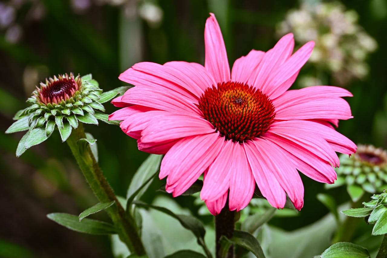 建立長期合作：5個英文客戶維護郵件模板，增強客戶粘性
