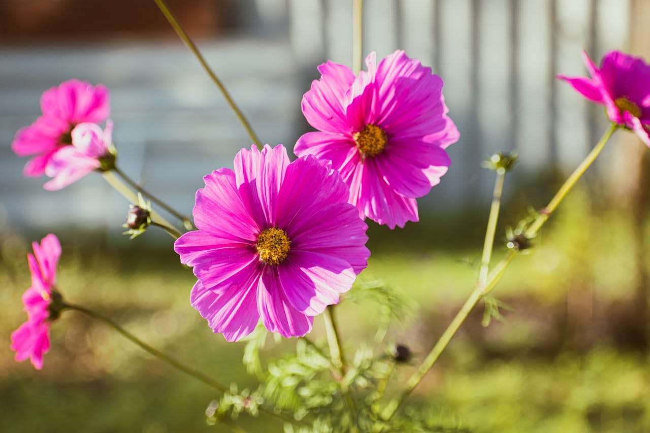 節日營銷不抓瞎：5個英文節日促銷郵件模板，讓客戶主動詢盤