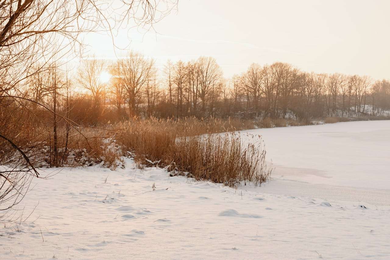 我喜欢的季节：春夏秋冬英语作文5篇