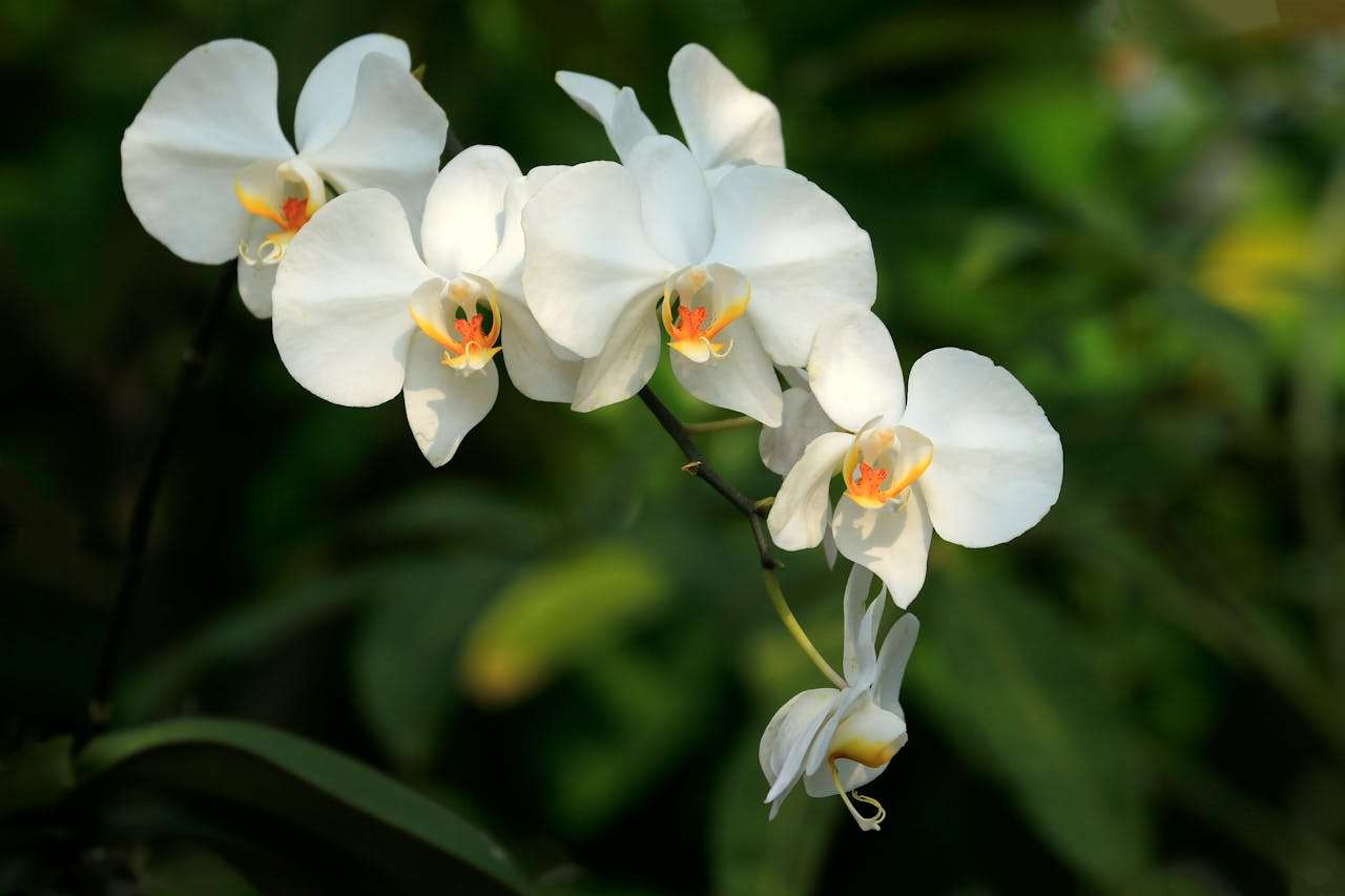 校园生活英语作文：6篇初中生必看范文合集