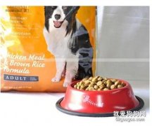 狗狗一般每天應該吃幾次狗糧呢？