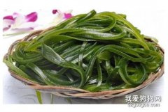 給狗狗吃海帶的好處及方法