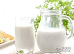 小狗飯里要不要加上牛奶？