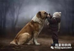 狗繩正確牽法是成功訓練狗的關鍵