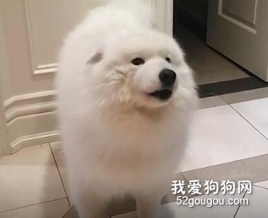網戀嗎？我煙酒嗓但是長得賊好看！