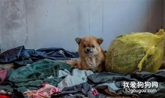 “無論發生什么，請堅信，我從未忘記你”