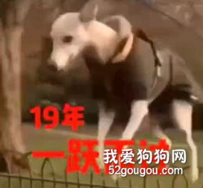 2018所有的不順都過去了，2019年，沖鴨！