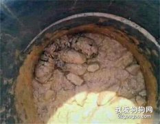 網友從泥潭中救出一群幼犬，沒想到竟是哈士奇，哭笑不得...